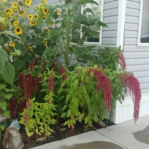 Meet your Posher, Shauna